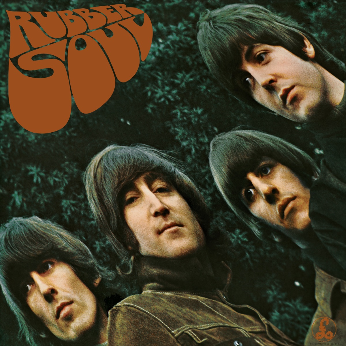 Rubber Soul (Super Deluxe) by The Beatles album cover artwork