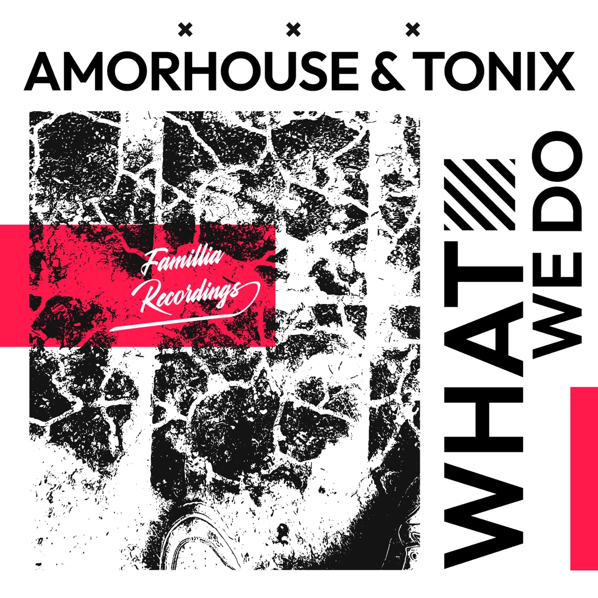 What We Do - Single by Amorhouse & Tonix album cover
