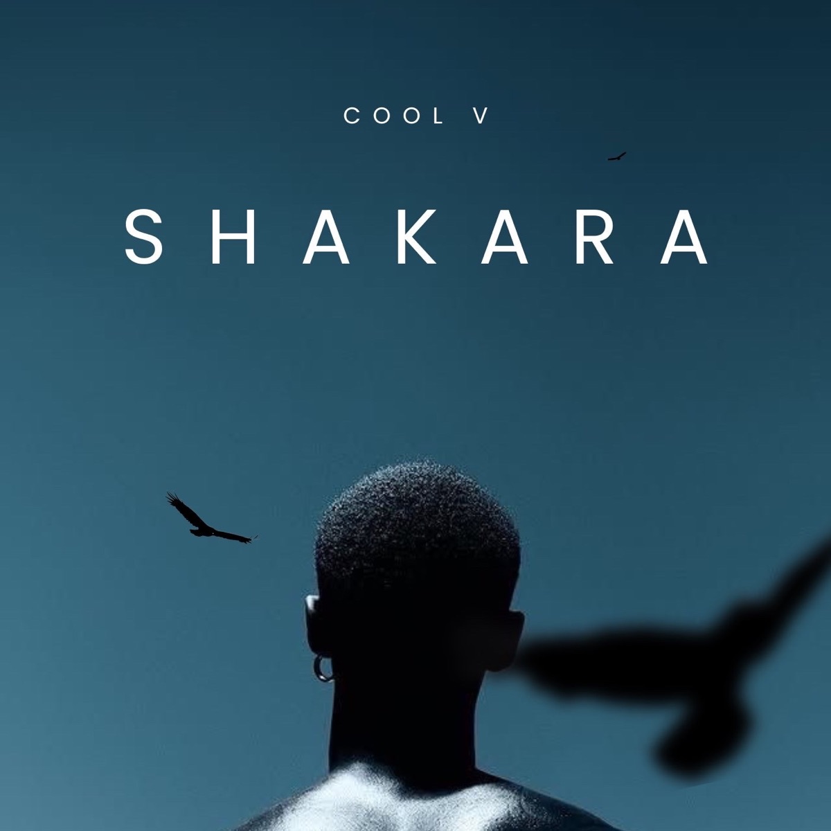 Shakara - Single by Cool V album cover
