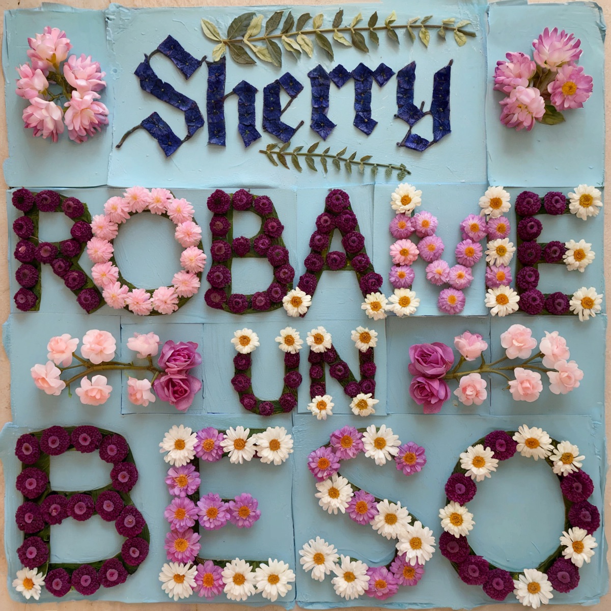 Róbame Un Beso - Single by Sherry album cover
