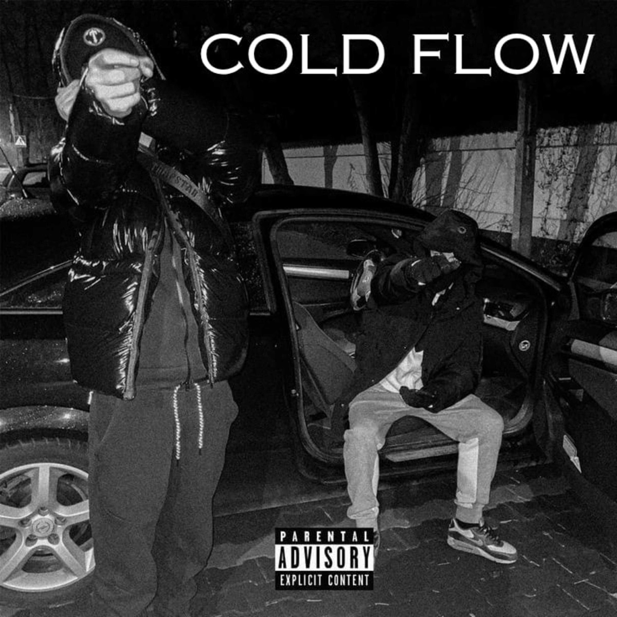 Cold Flow - Single by ICE DROPPA & Sherry album cover