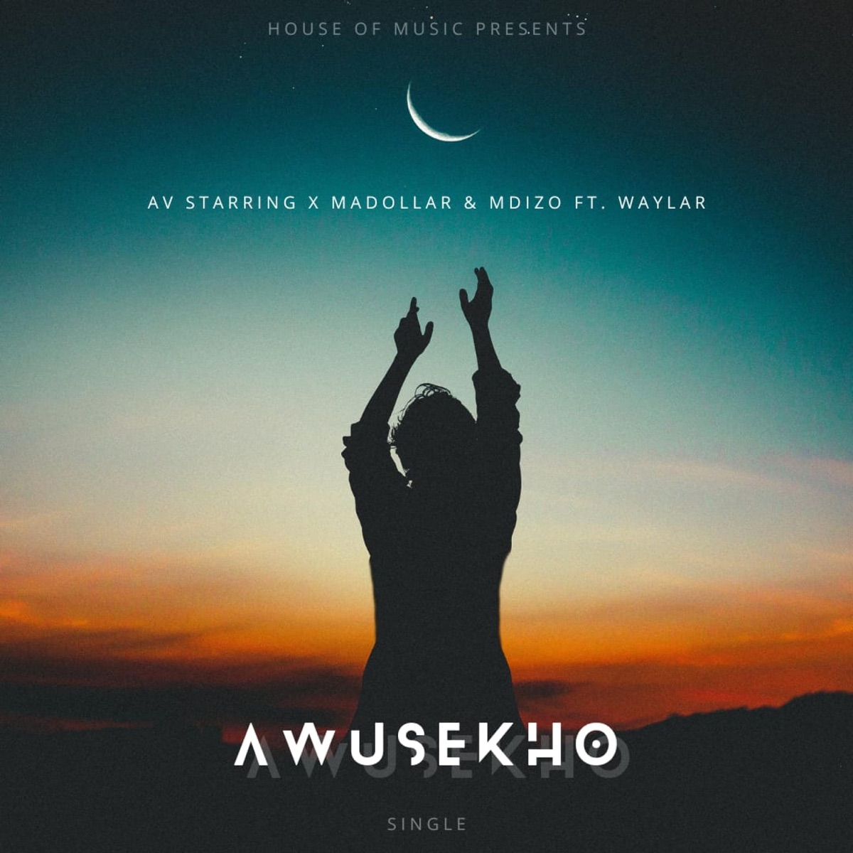 Awusekho (feat. Mdizo & Waylar) - Single by AV Starring & Madollar album cover