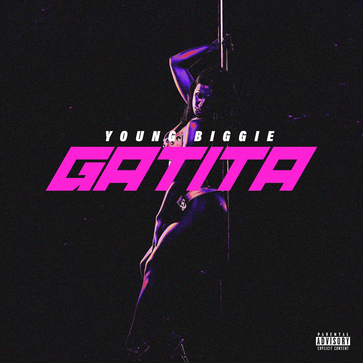 Gatita - Single by Young Biggie album cover