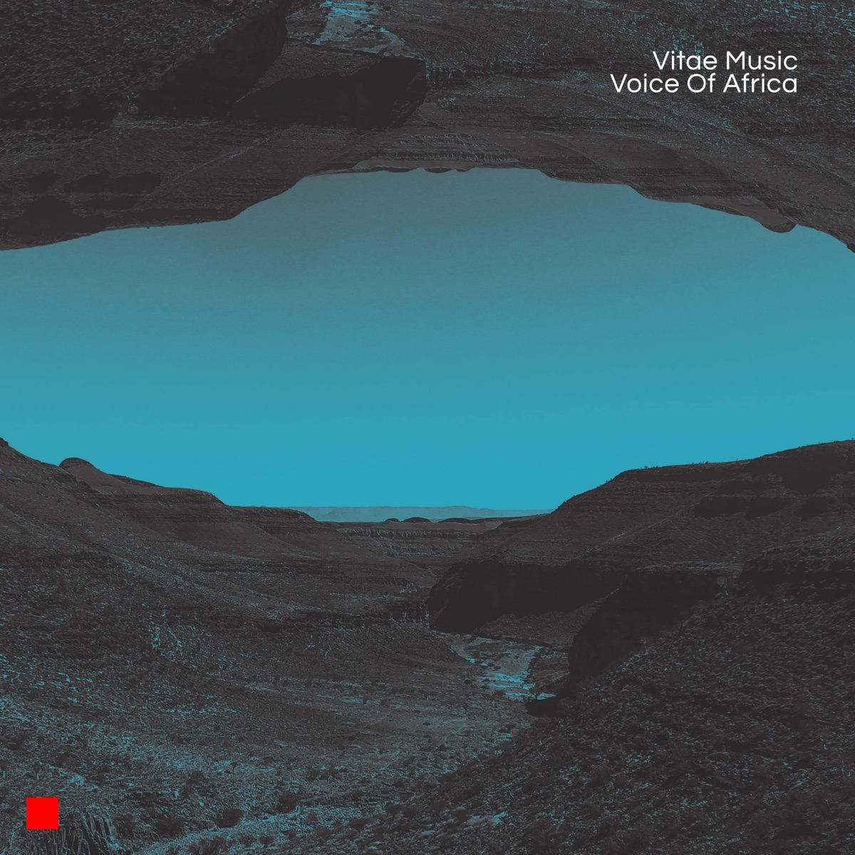 Voice Of Africa - Single by Vitae Music album cover