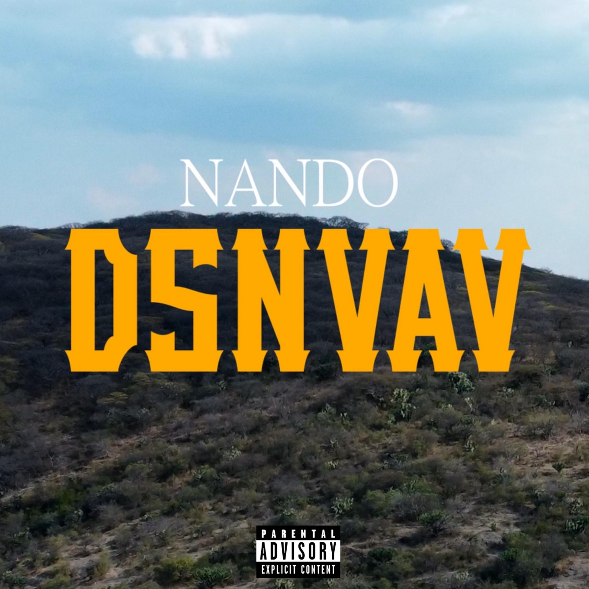D S N V A V (feat. Memx Rosso) - Single by Nando Doble H album cover