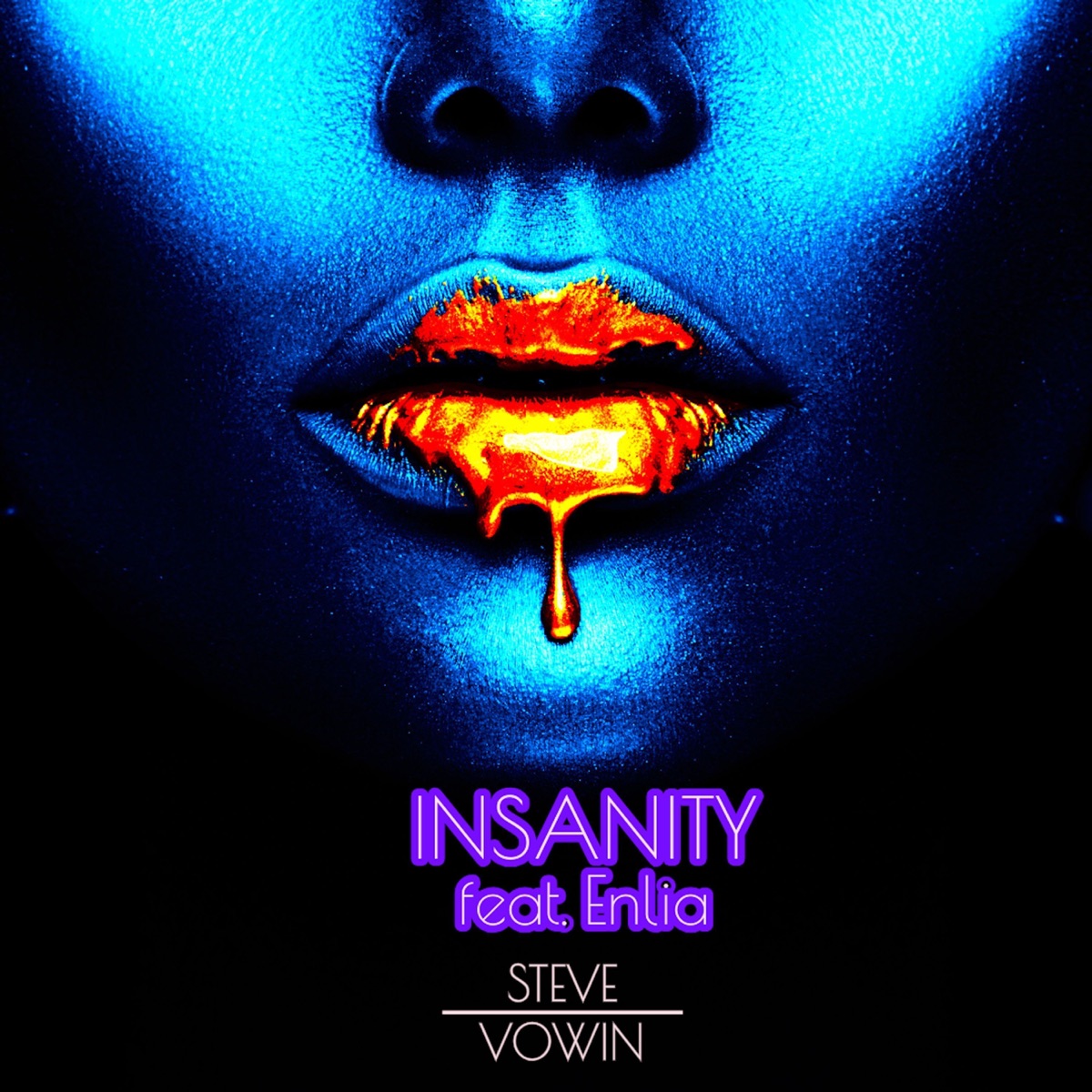 Insanity (feat. Enlia) - Single by Steve Vowin album cover