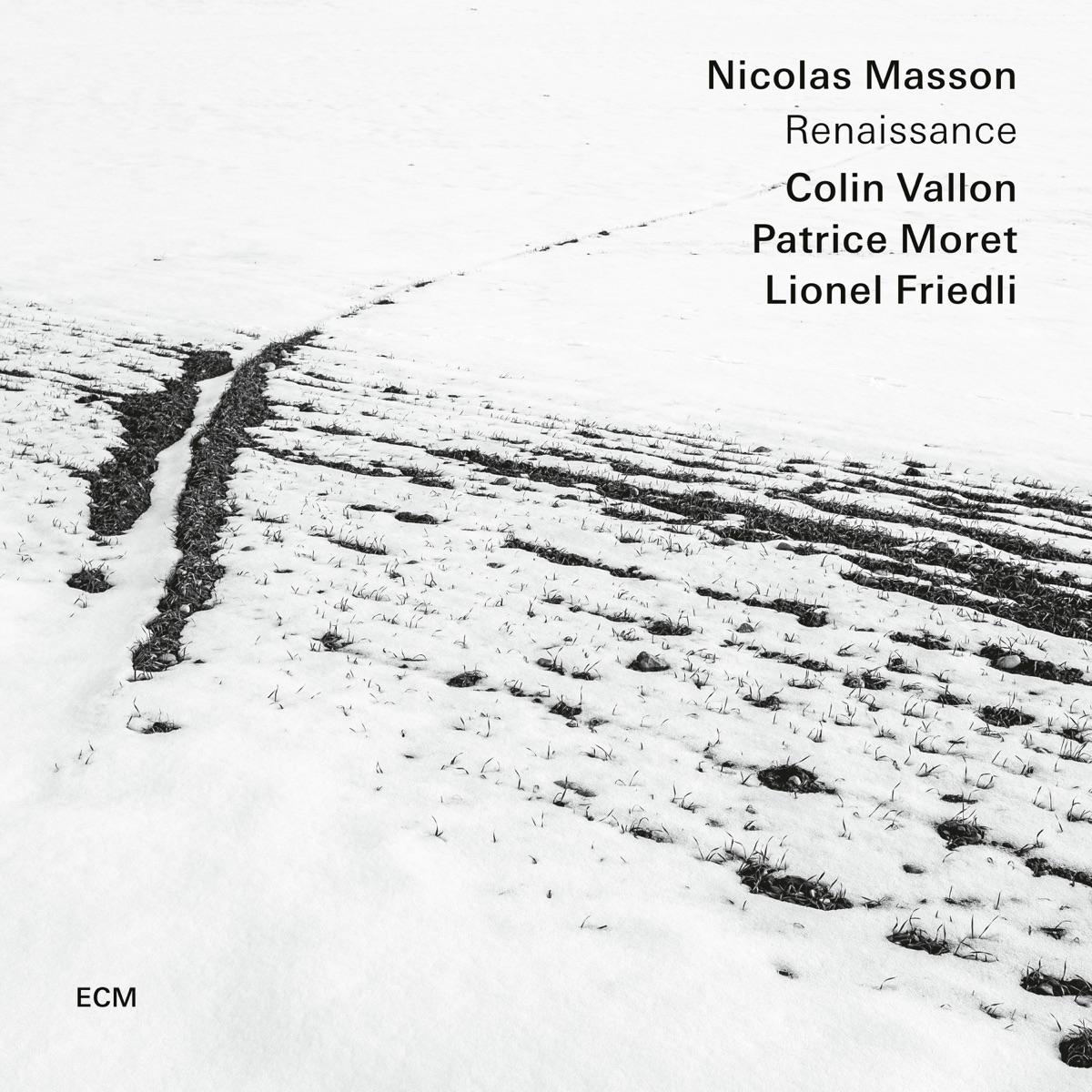 Renaissance by Nicolas Masson, Colin Vallon, Patrice Moret & Lionel Friedli album cover