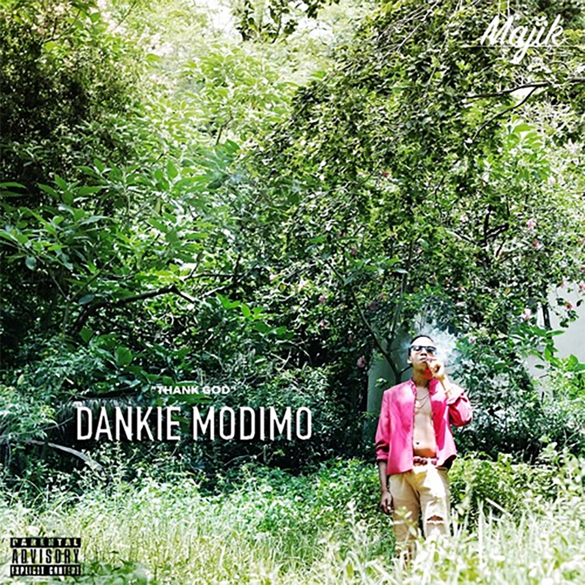 Dankie Modimo by PlugMajik album cover