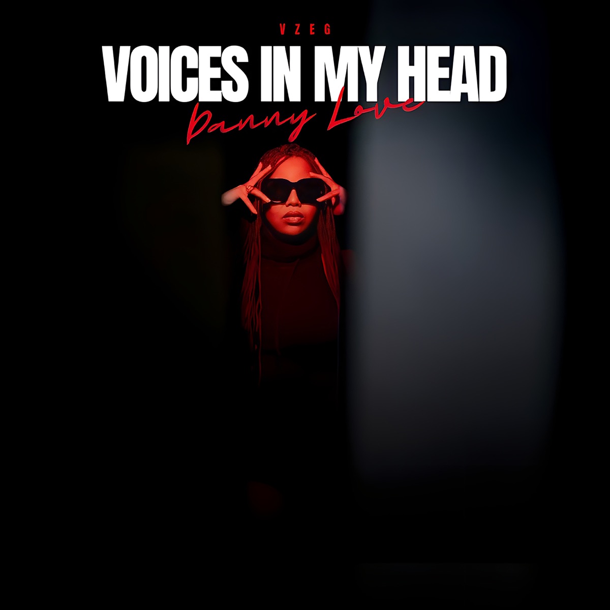 Voices in My Head - Single by Danny Love & VzEG album cover