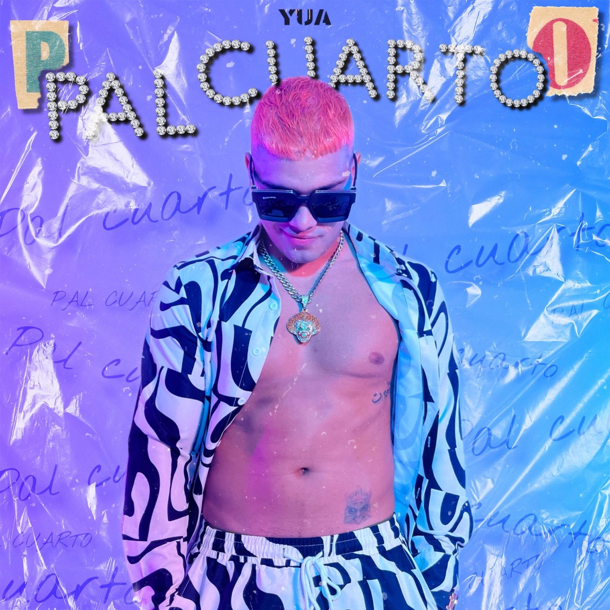Pal Cuarto - Single by YUA album cover