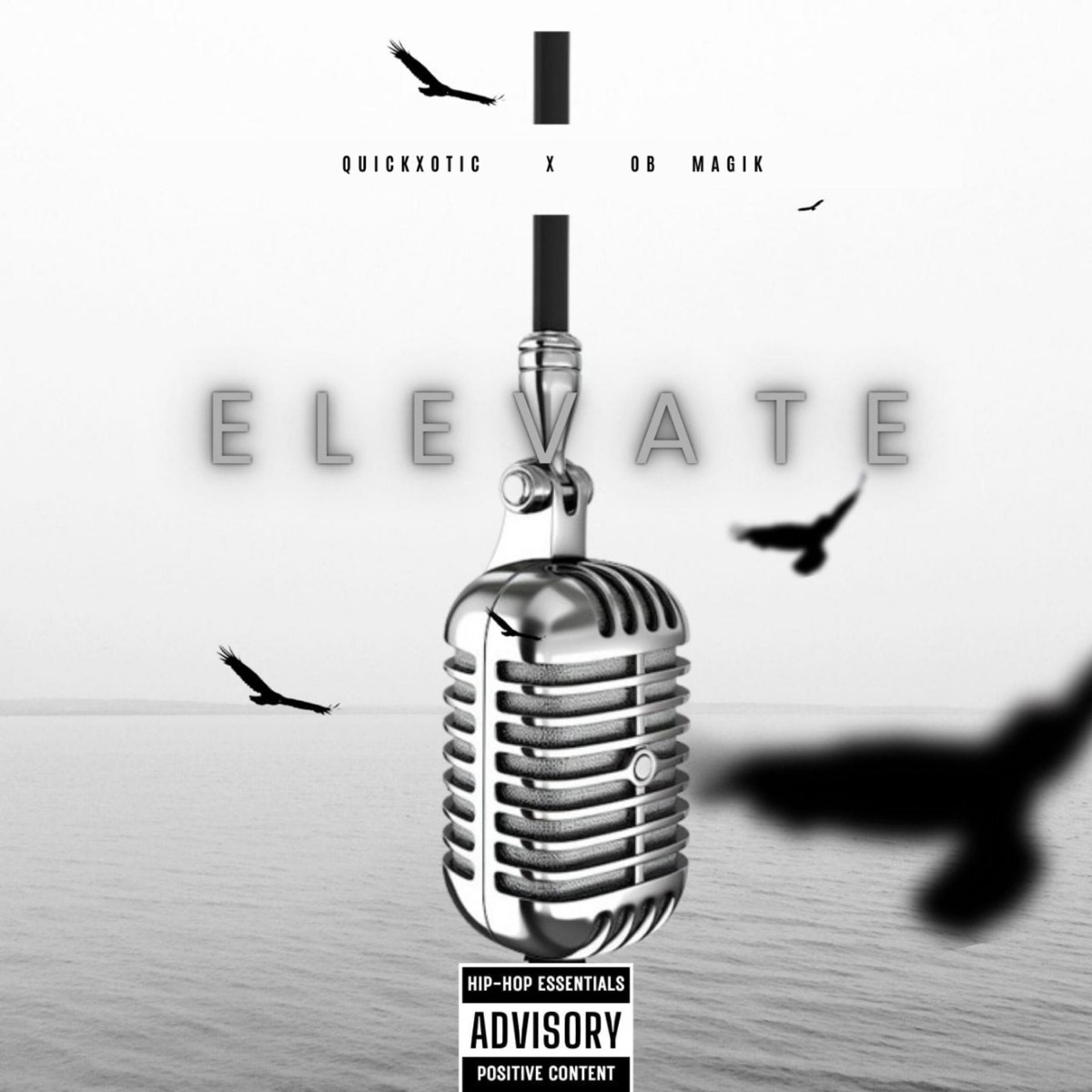 Elevate (feat. OB Magik) - Single by Quickxotic album cover