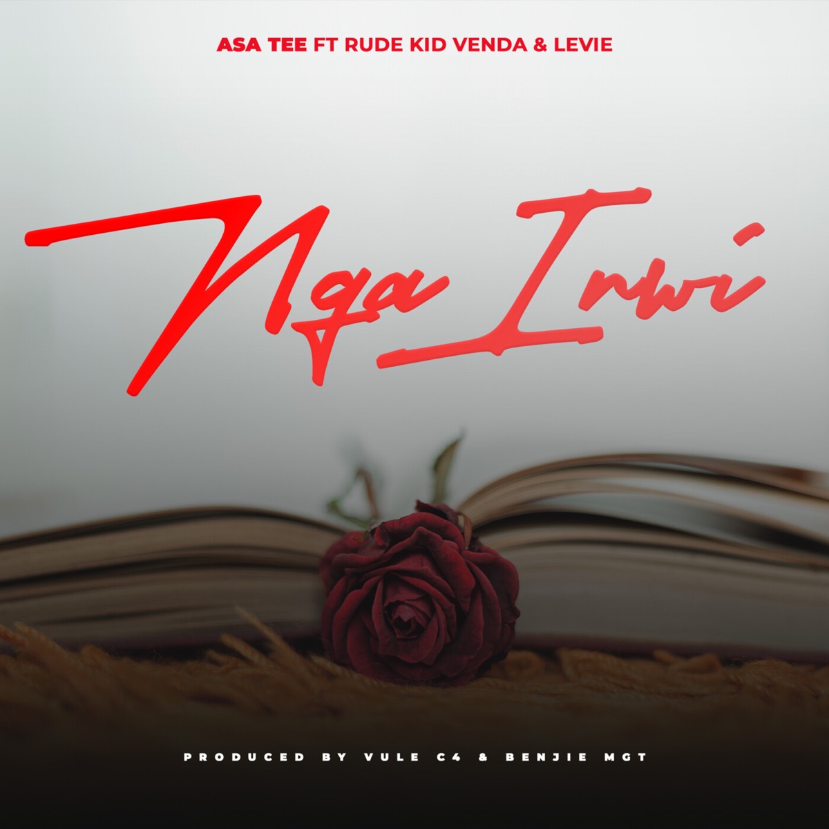 Nga Inwi (feat. Rude Kid Venda & Levie) - Single by Asa Tee album cover