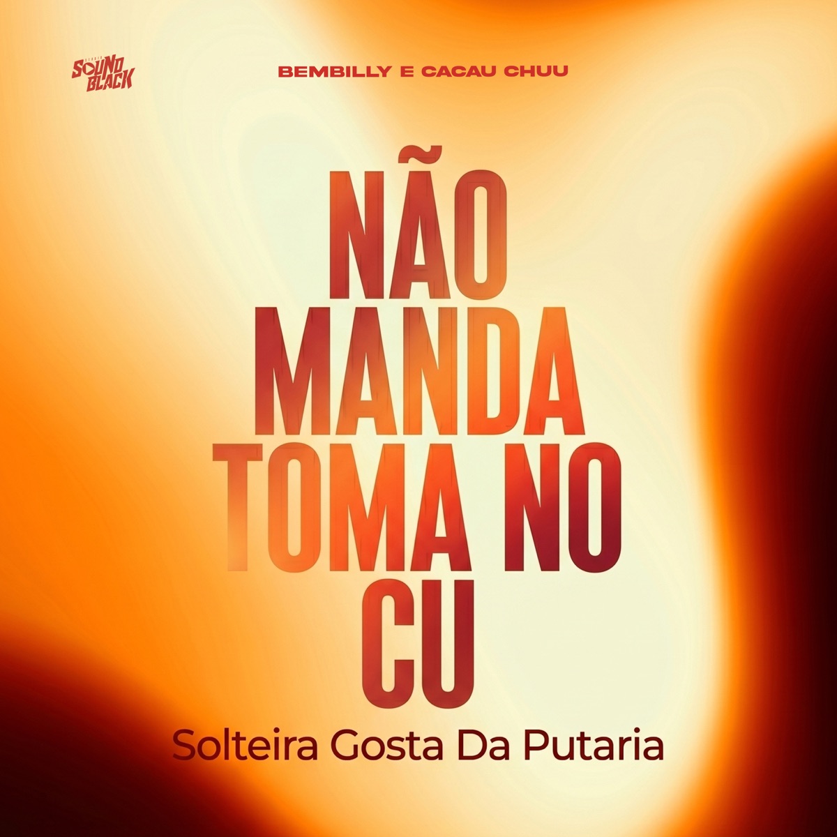 Não Manda Toma no Cu - Solteira Gosta da Putaria - Single by BemBilly & Cacau Chuu album cover