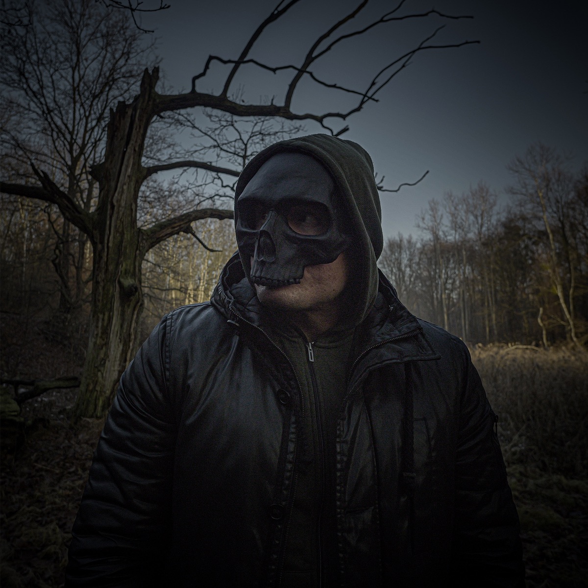 SKRZYDŁA - Single by Morfina album cover