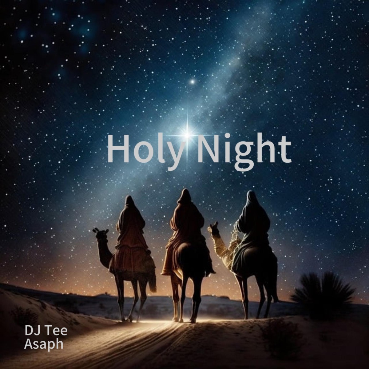 Holy Night (feat. Asaph) - Single by DJ Tee album cover