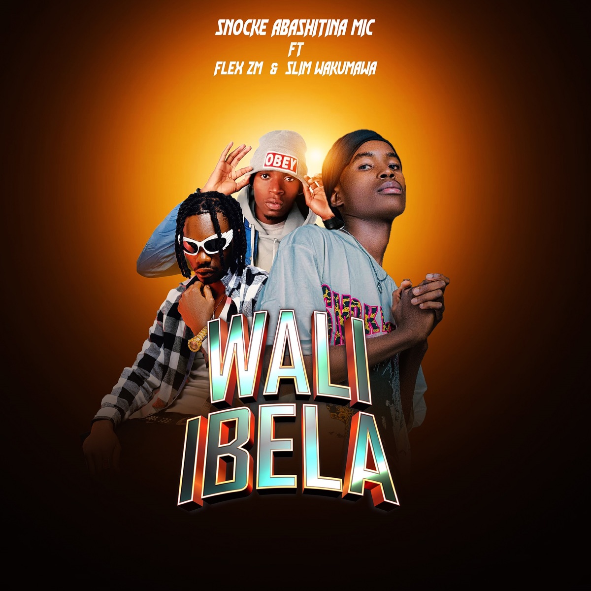 Wali Ibela - Single (feat. Flex zm & Slim Wakumawa) - Single by Snocke Abashitina Mic album cover