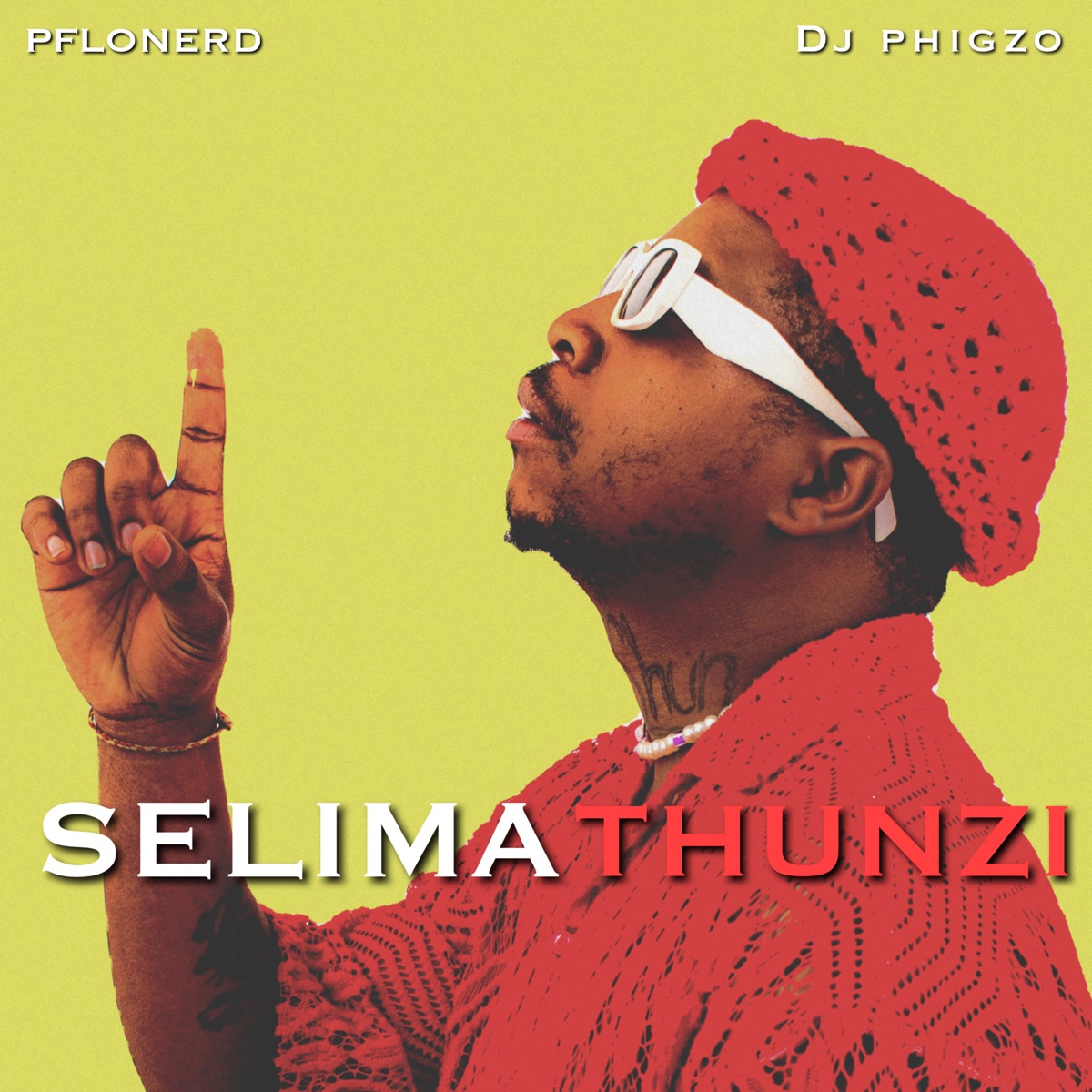 SELIMATHUNZI - Single by PFLONERD & DJ phigzo album cover