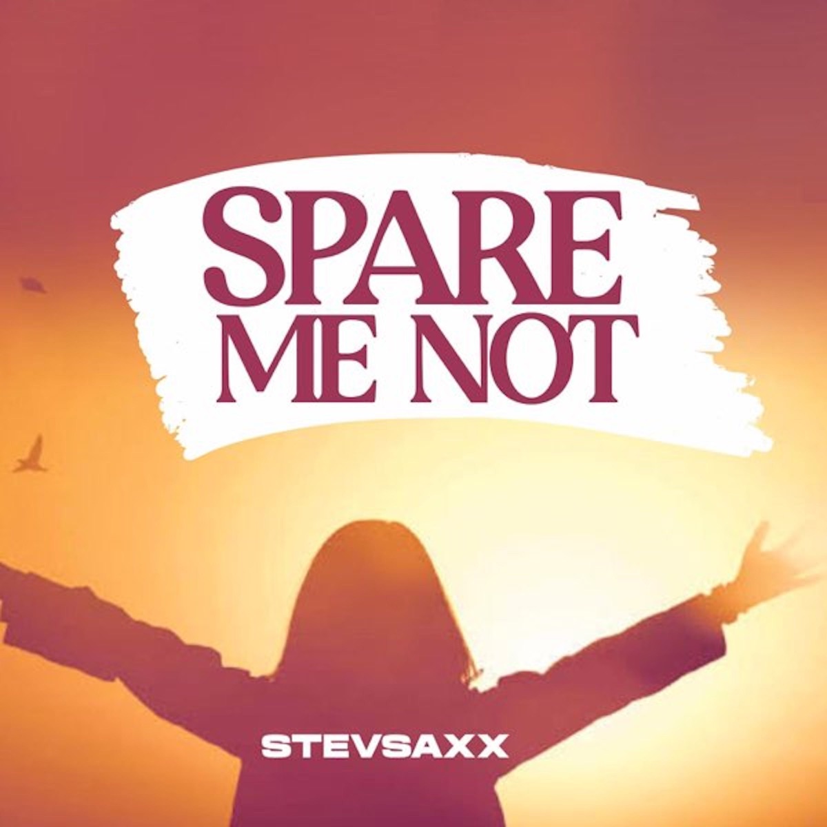 Spare me not - Single by Stevsaxx album cover