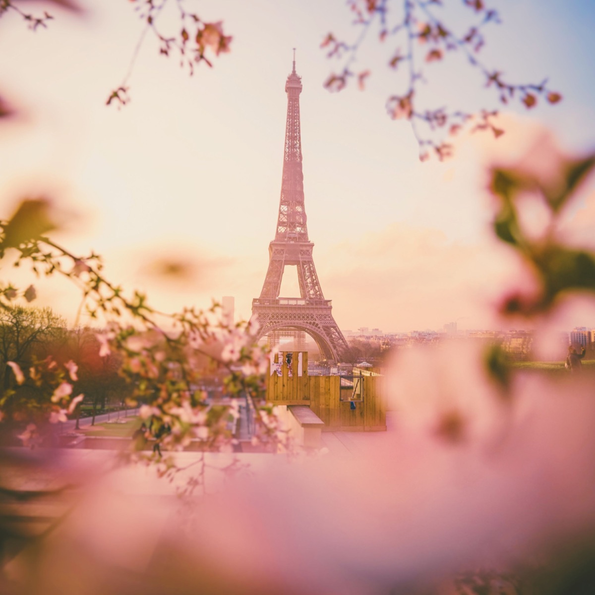 Birdie In Paris - Single by Hary.BoY album cover
