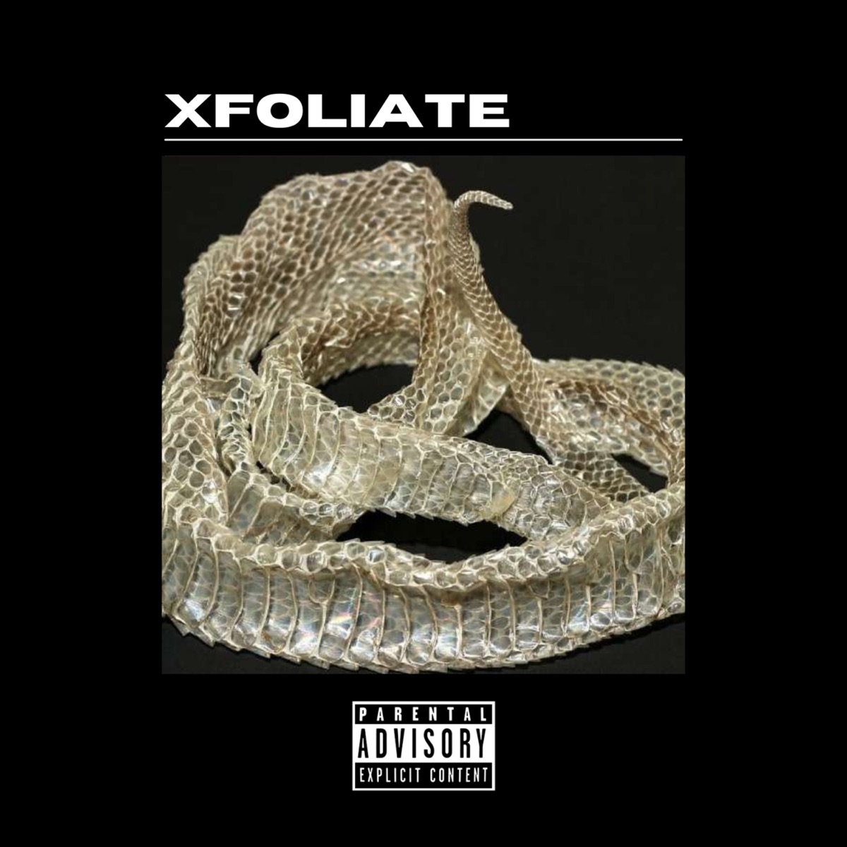 Xfoliate (feat. General Fly) - Single by Tre Nyce album cover