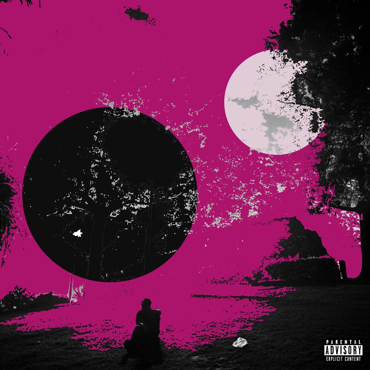chasing feelings - Single by PSV album cover