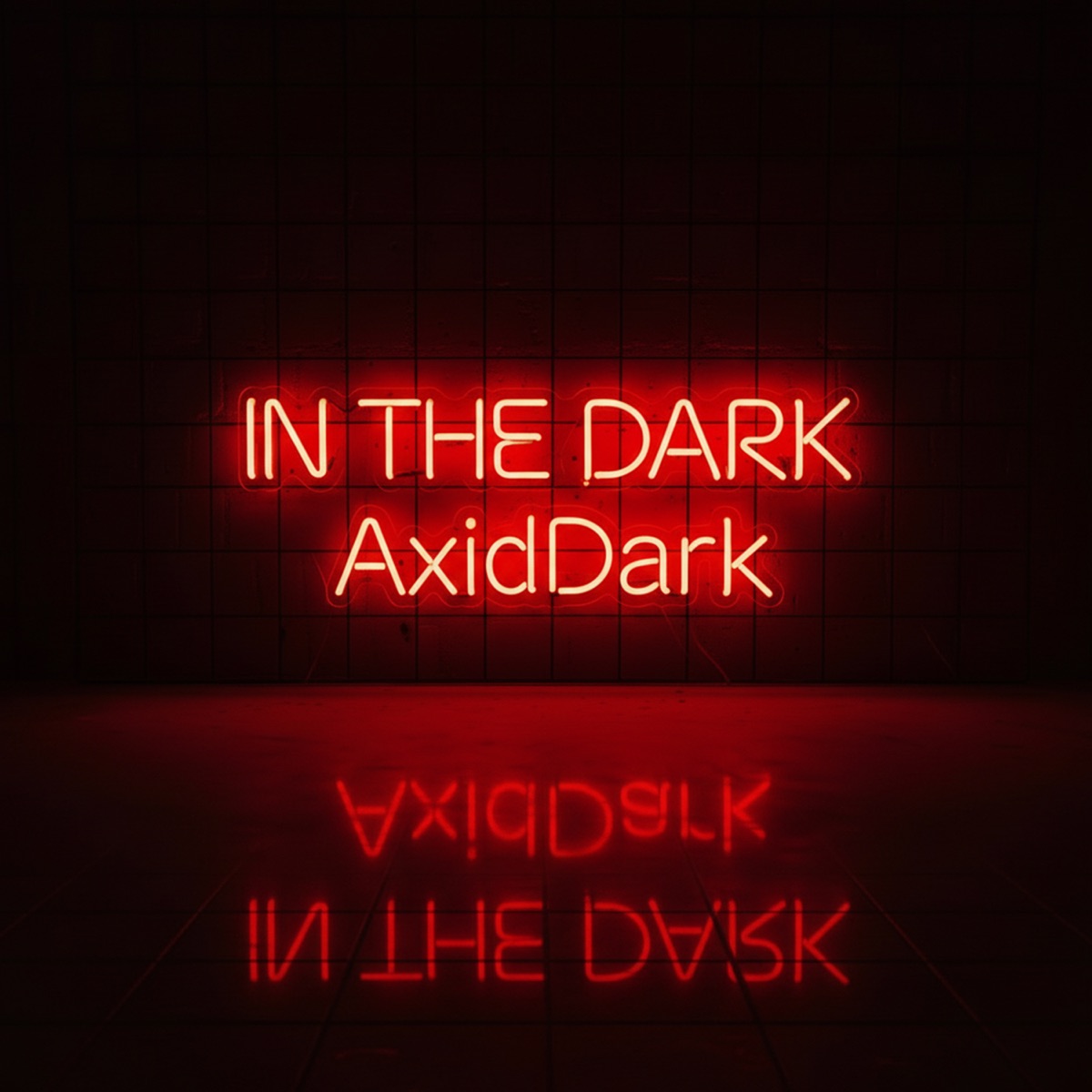 In the Dark - Single by AxidDark album cover