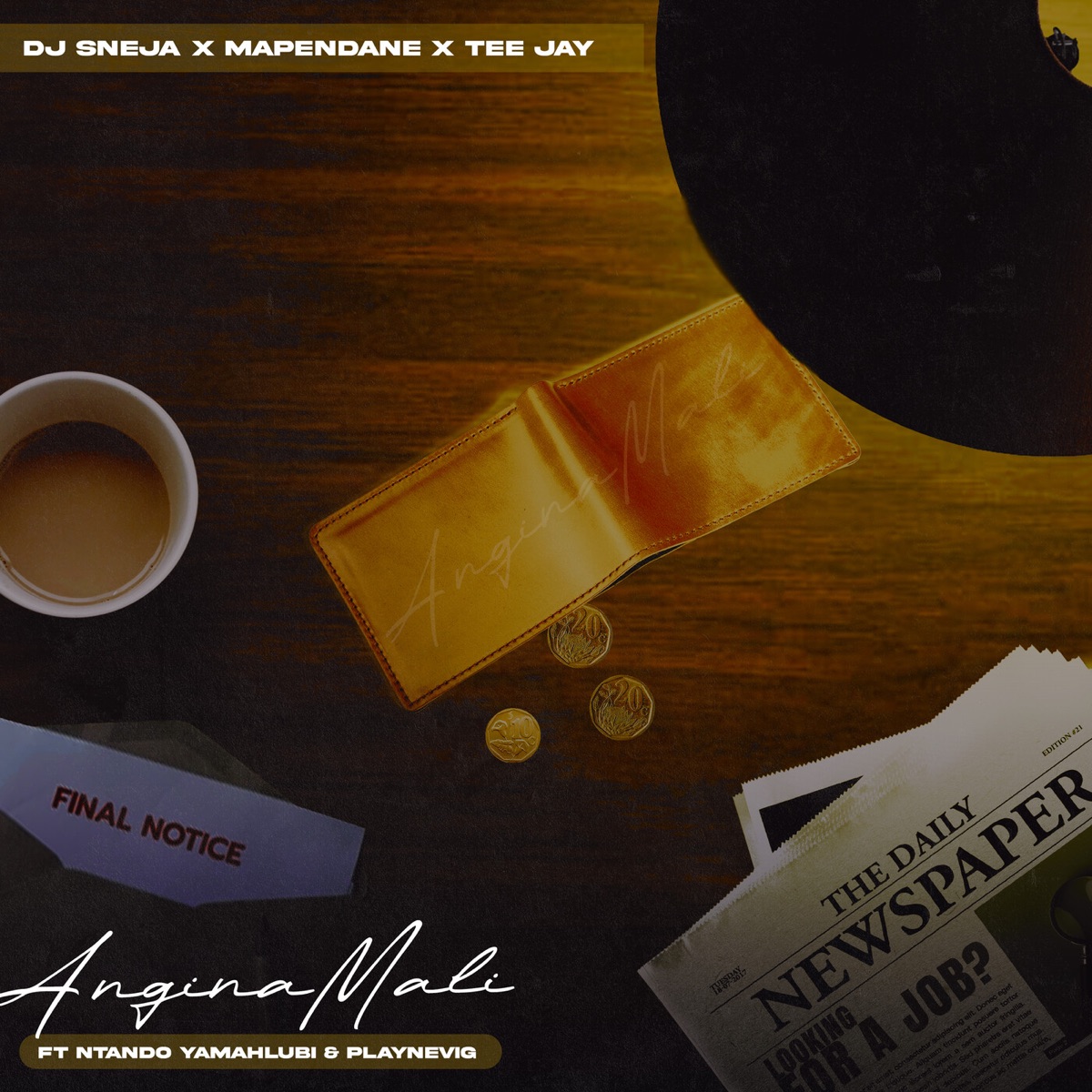 Anginamali (feat. PlayNevig & Ntando Yamahlubi) - Single by DJ Sneja, Tee Jay & Mapendane RSA album cover