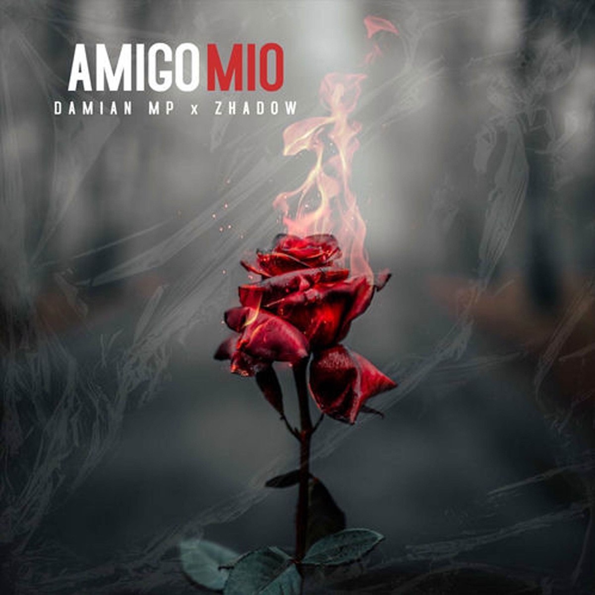 Amigo Mio - Single by Damian MP & Zhadow album cover