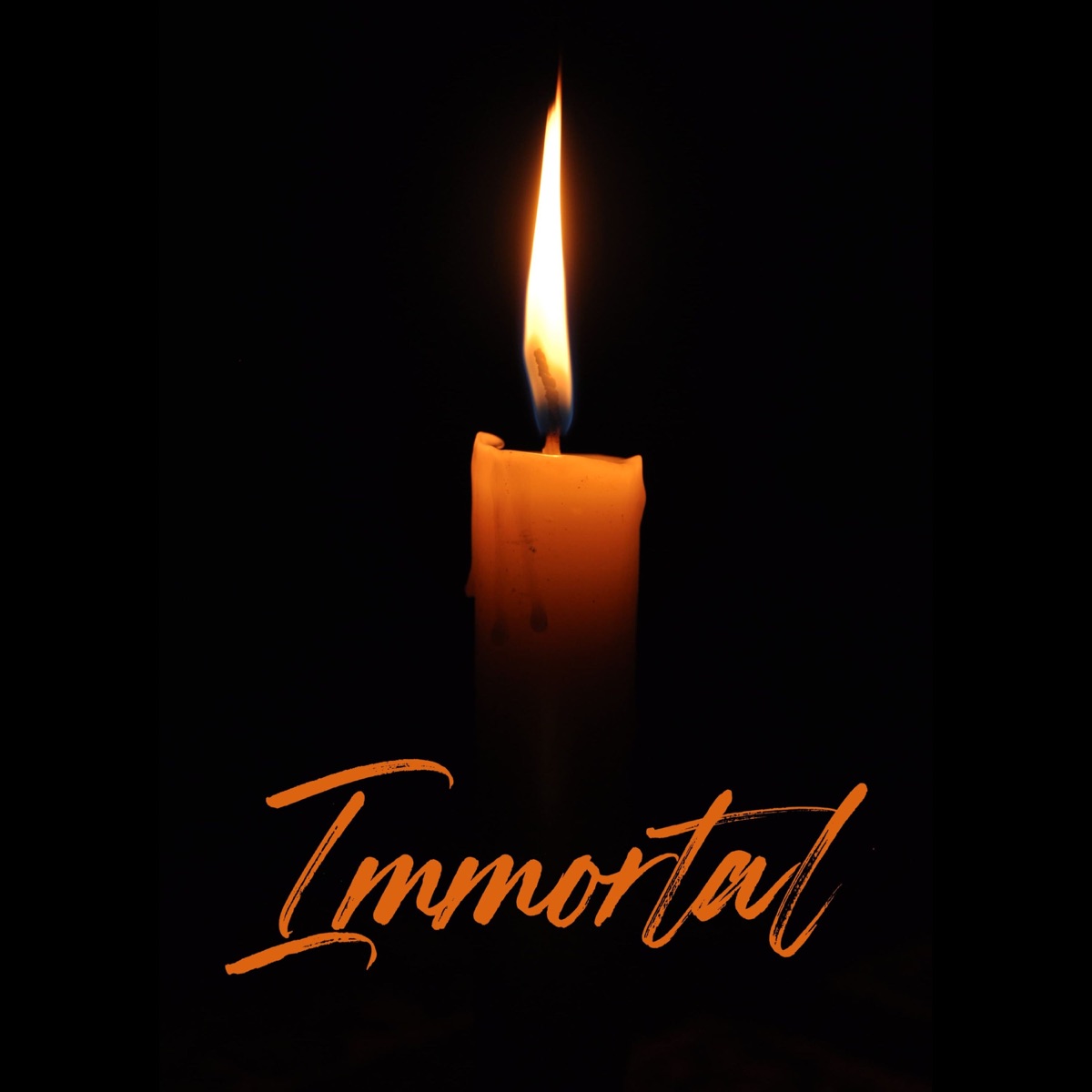 Immortal - Single by Aman Mangali Aala & Summy album cover