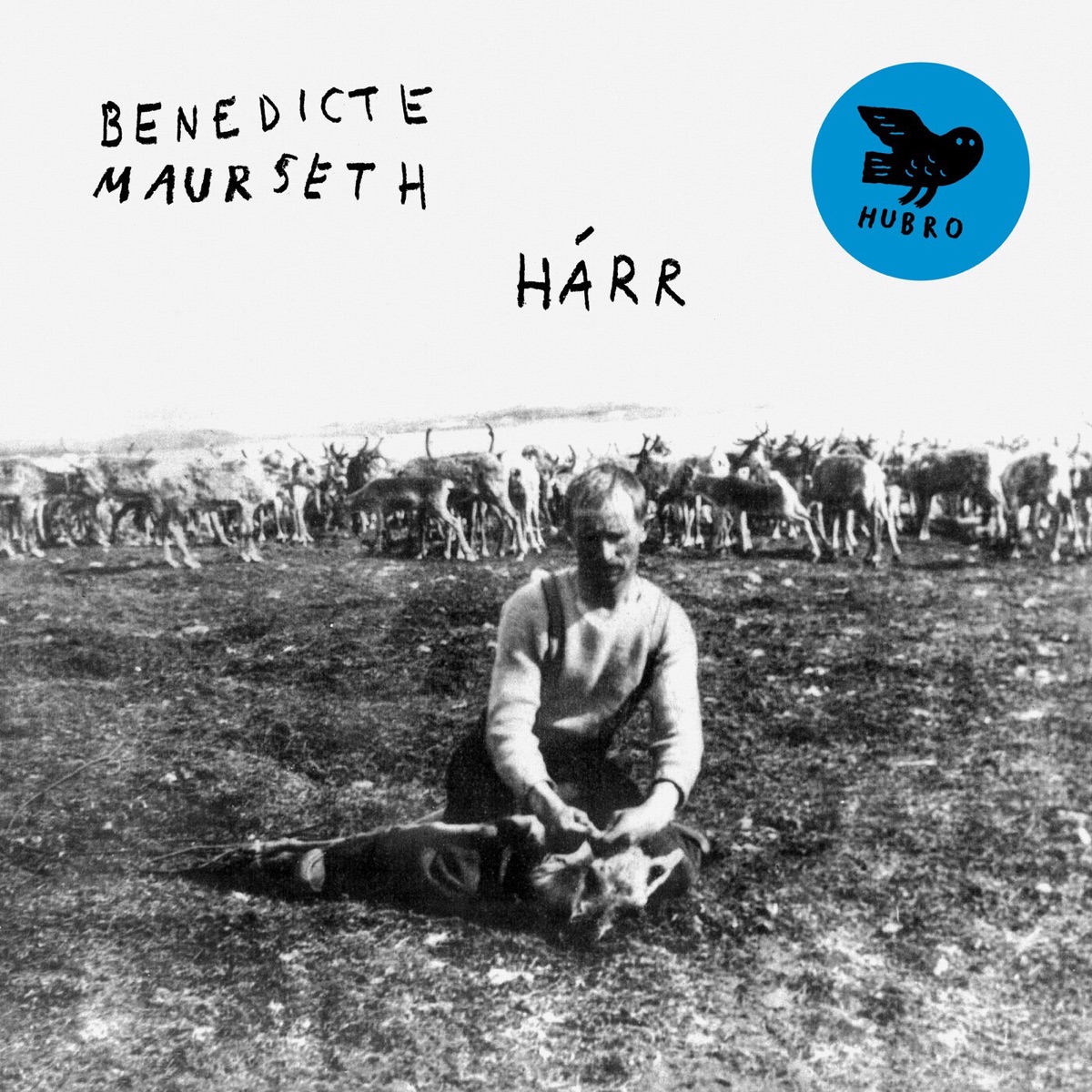 Hárr by Benedicte Maurseth album cover