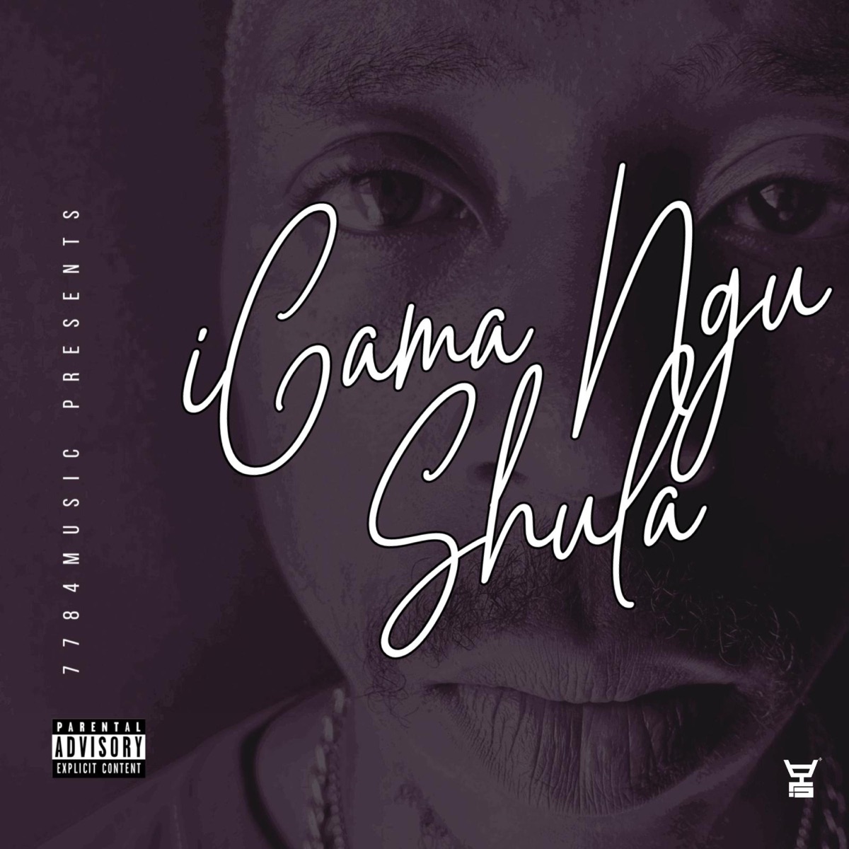 iGama Ngu Shula by Mr Shula album cover