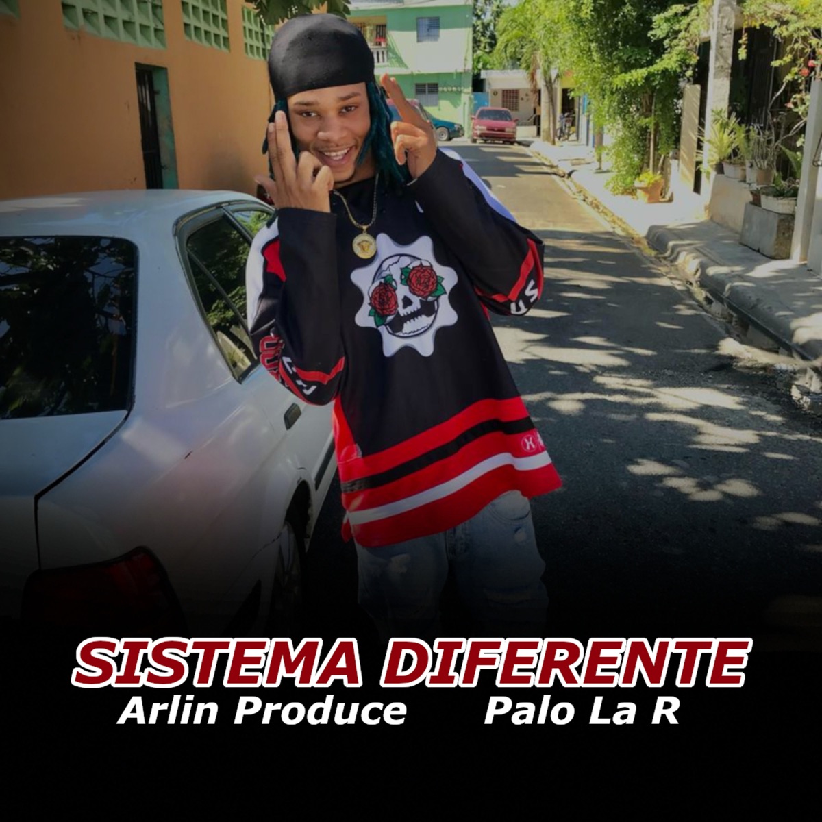 Sistema Diferente - Single by Arlin Produce & Palo la R album cover