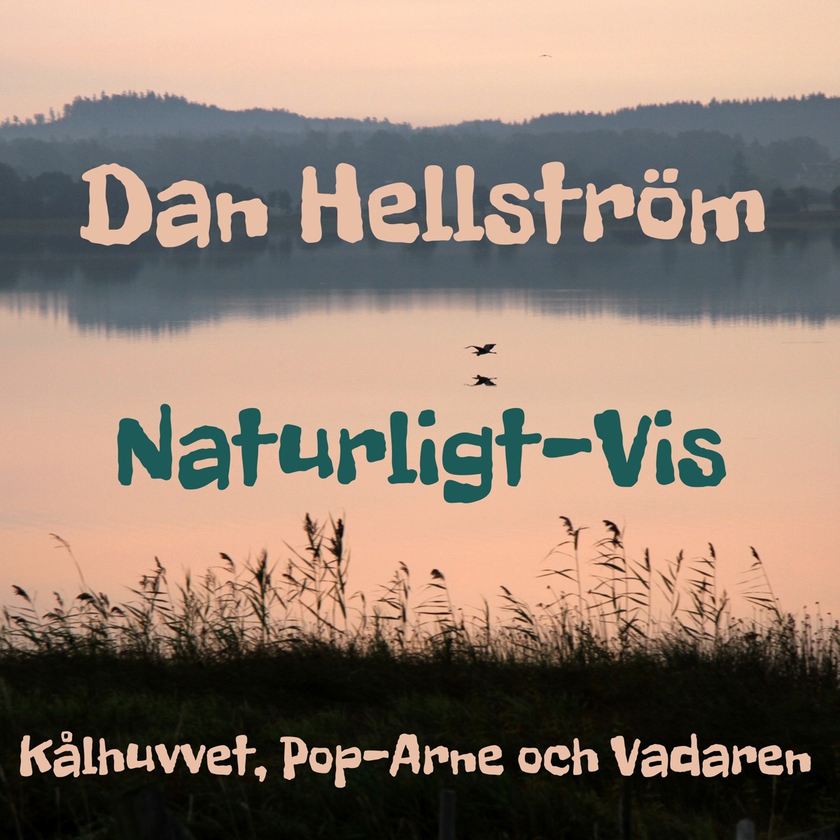 Kålhuvvet, Pop-Arne och Vadaren (feat. Niss-Kerstin Hallgren, Ewan Svensson & Vanja Holm) by Dan Hellström & Naturligt-Vis album cover