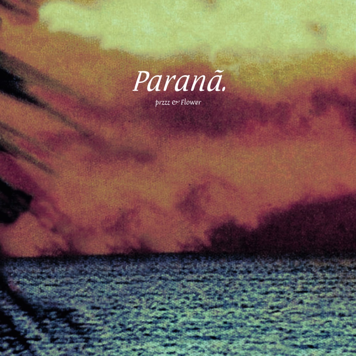 Paranã (feat. Flower) - Single by przzz album cover