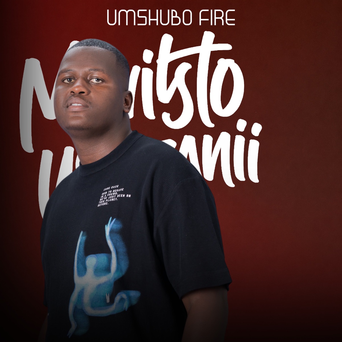 Umshubo Fire - Single by Mavisto Usenzanii album cover