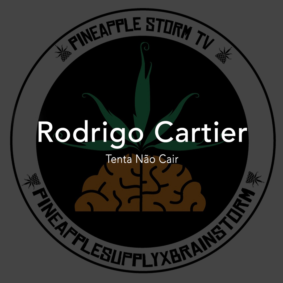 Tenta Não Cair - Single by Rodrigo Cartier album cover