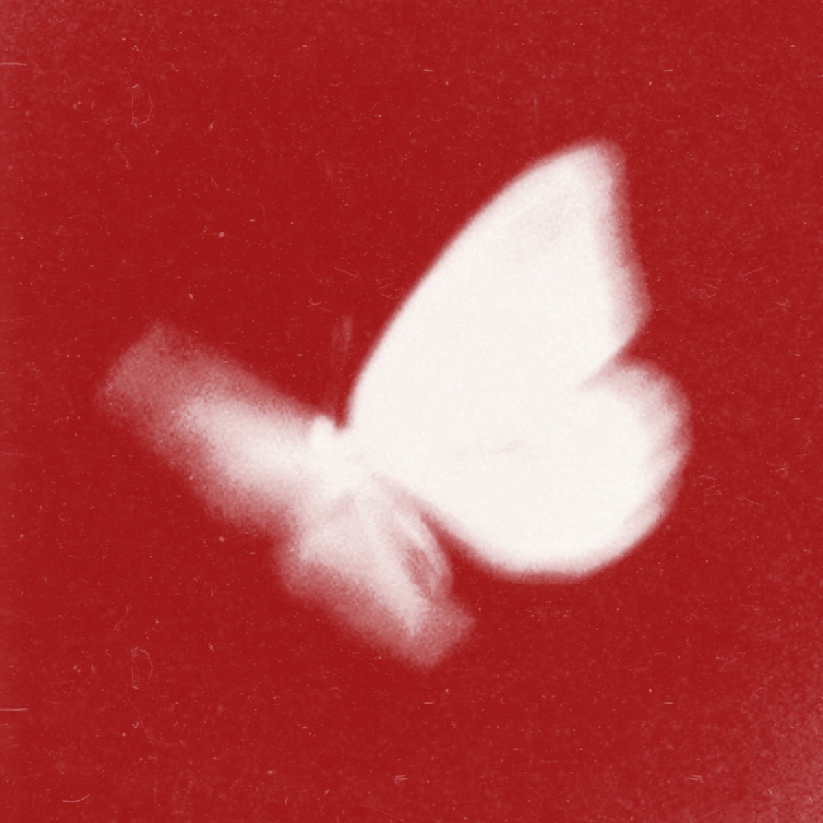 Butterfly 2026 - Single by bradeazy & Crazy Town album cover