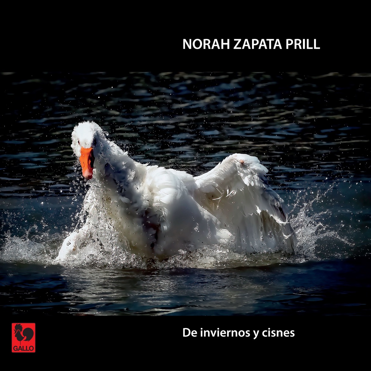 Norah Zapata Prill: De inviernos y cisnes by Roberto Sawicki, Elisabeth Dönni Kocher & Irma Weissenberg Perenyi album cover