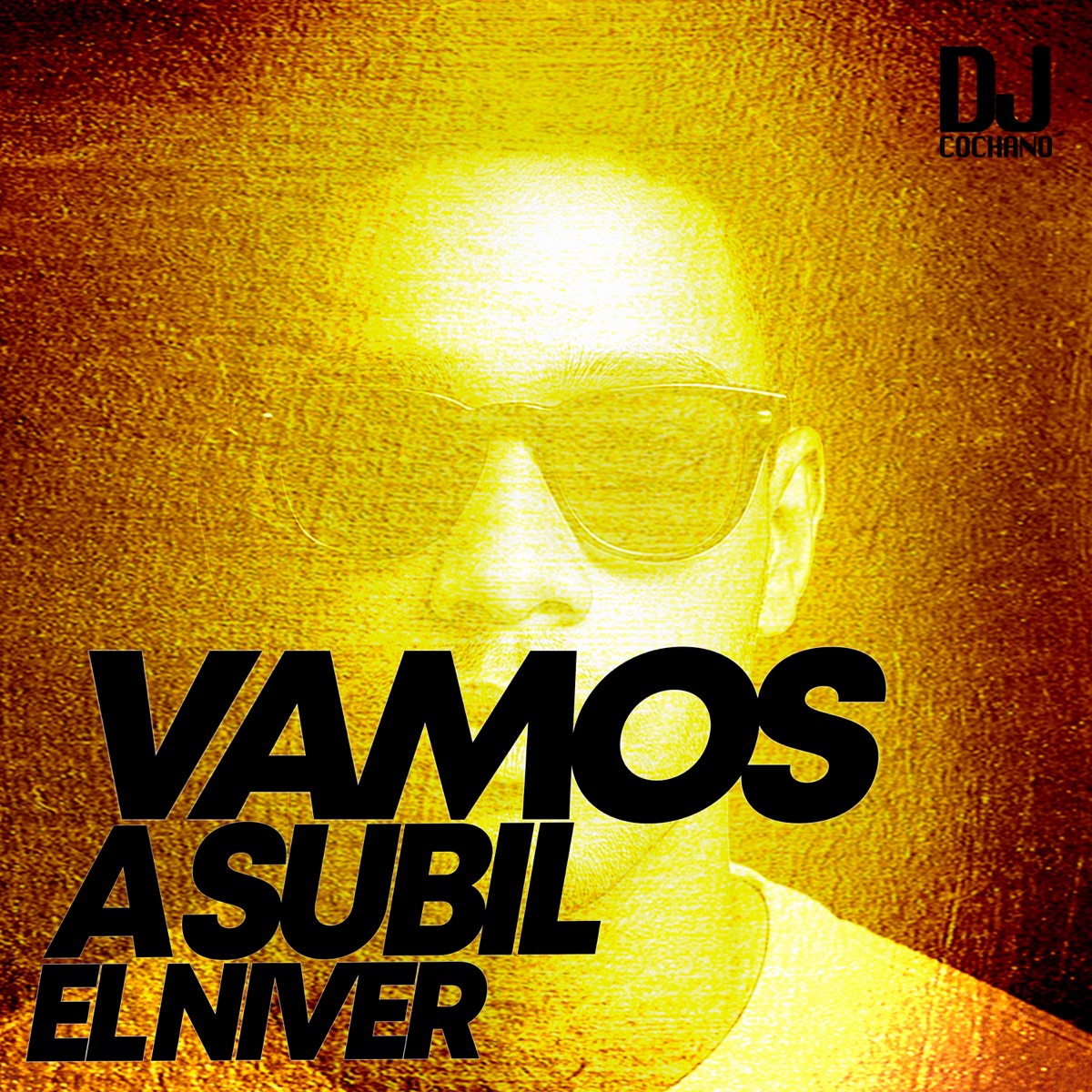 Vamos a subir el nivel - Single by Buena Ventura & DJ Cochano album cover