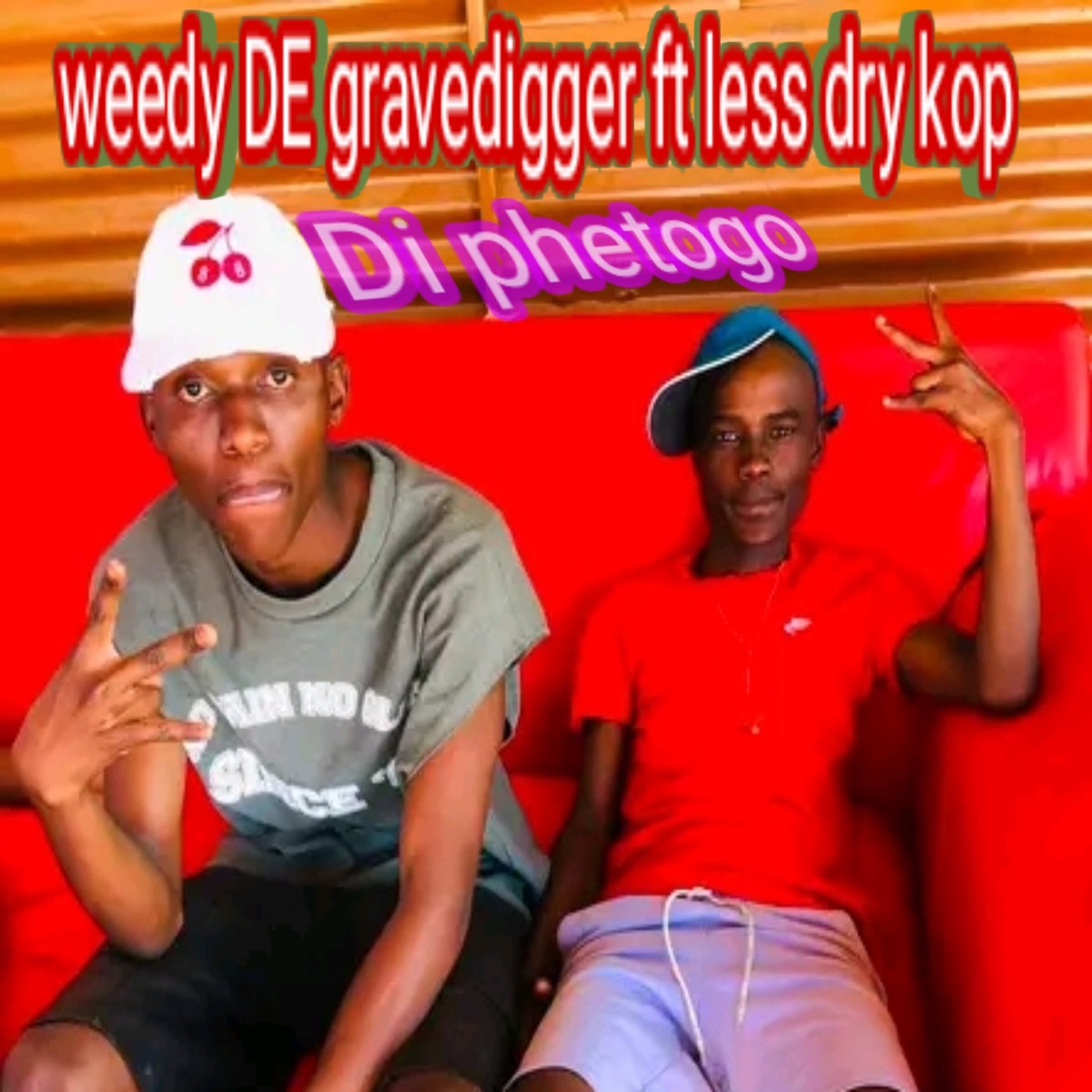 Di phetogo - Single by Weedy de gravedigger & Less dry kop album cover