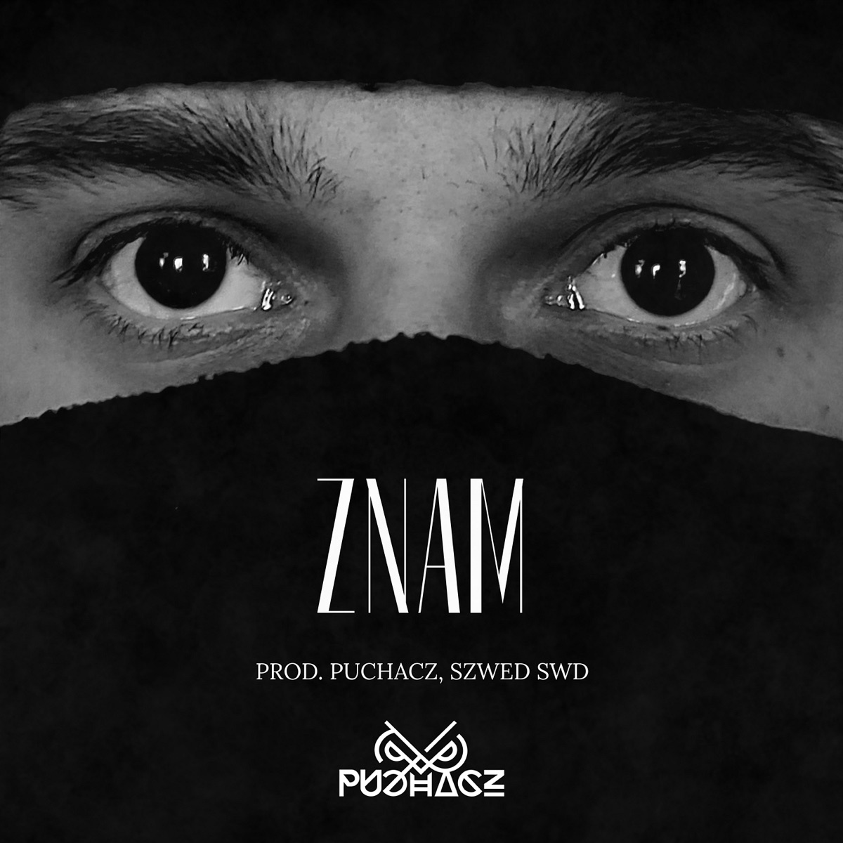 Znam - Single by Puchacz album cover