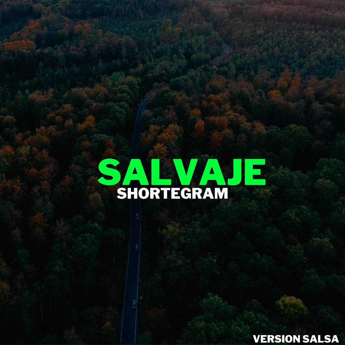 SALVAJE (SALSA) - Single by Shortegram album cover
