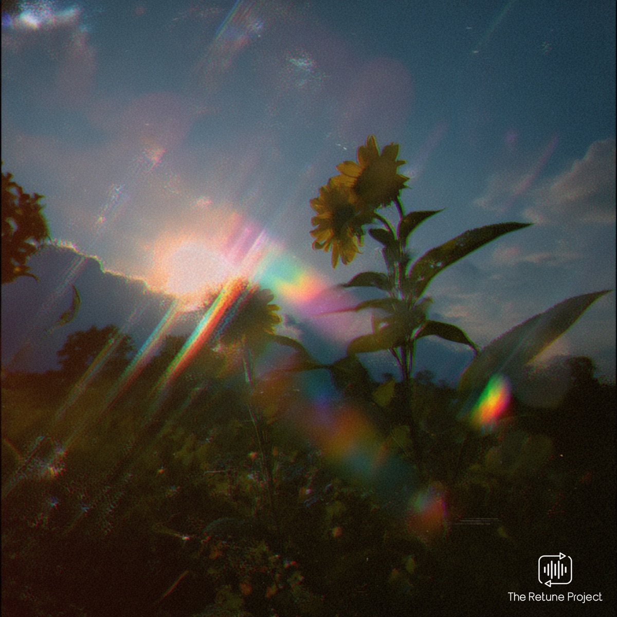 Sunflavor - Single by Paradise Pulse, Rato, Fretboard Surfer & The Retune Project album cover