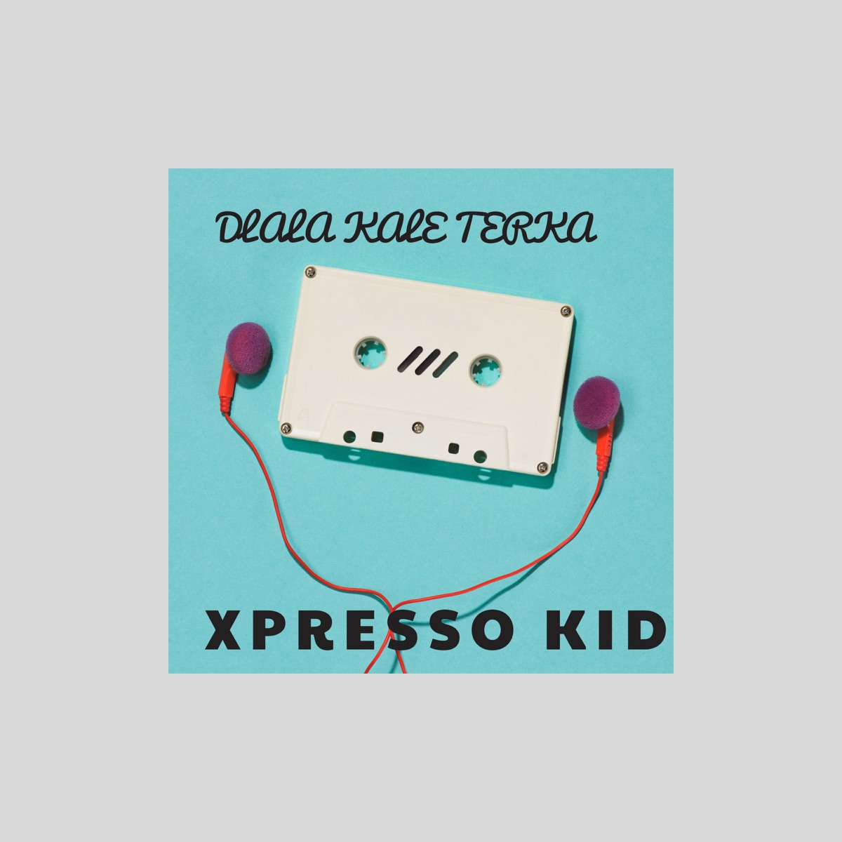 Dlala kale terka (Radio Edit) [feat. DICEY X SA, Jaycee205 & Stifla] - Single by Xpresso Kid album cover