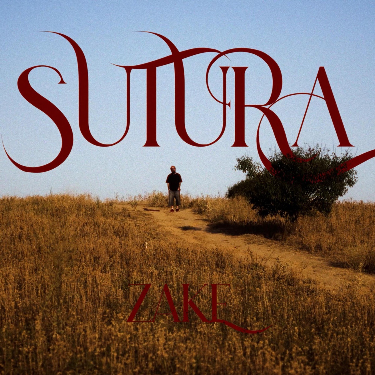Sutura - Single by Zake album cover