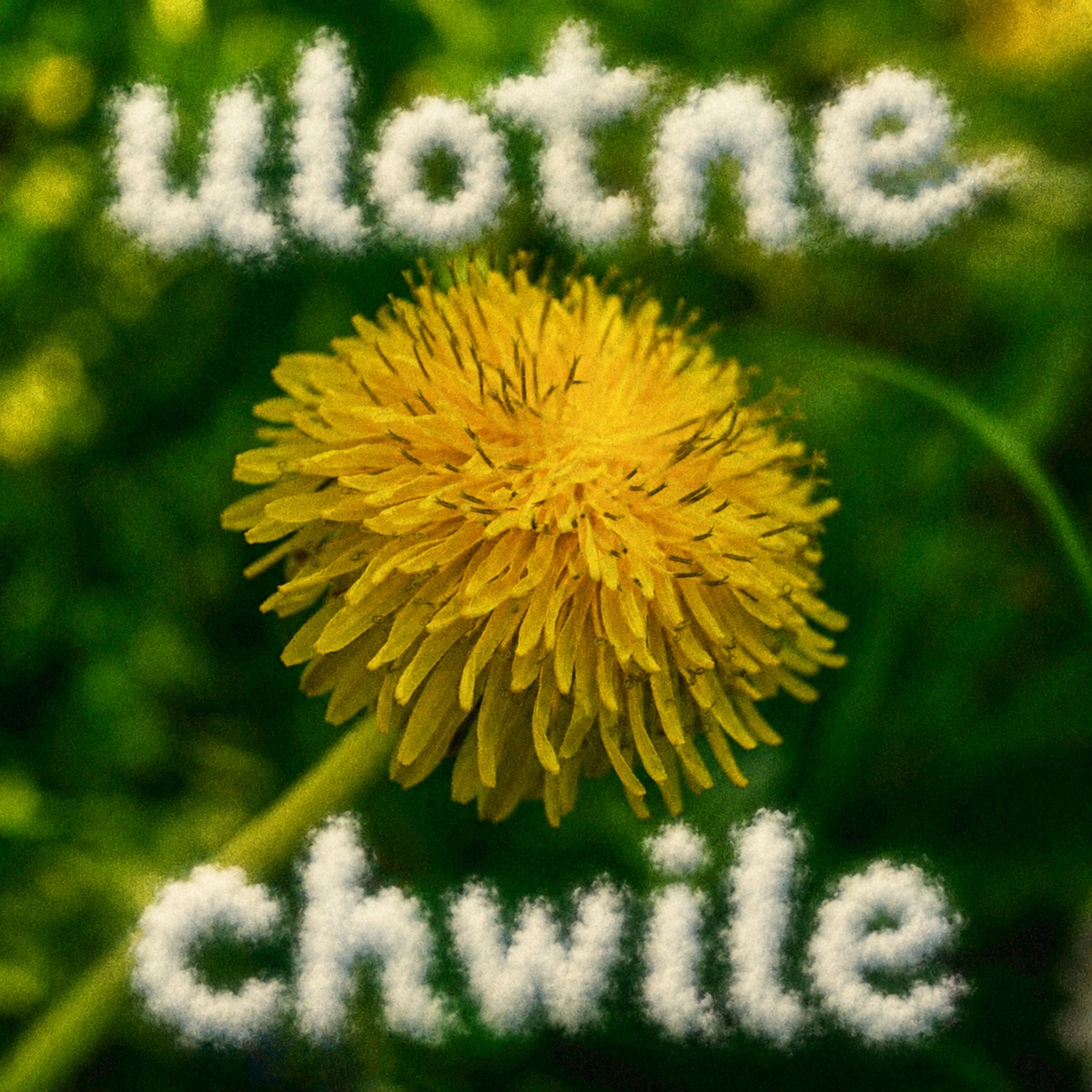 ulotne chwile - Single by Slerak album cover