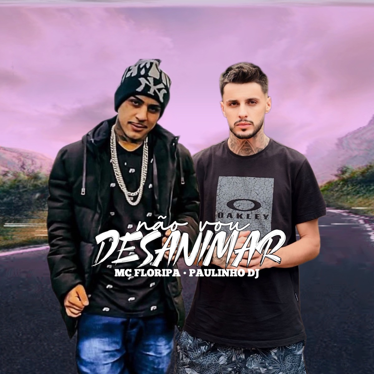 Não Vou Desanimar - Single by Paulinho DJ & MC FLoripa album cover