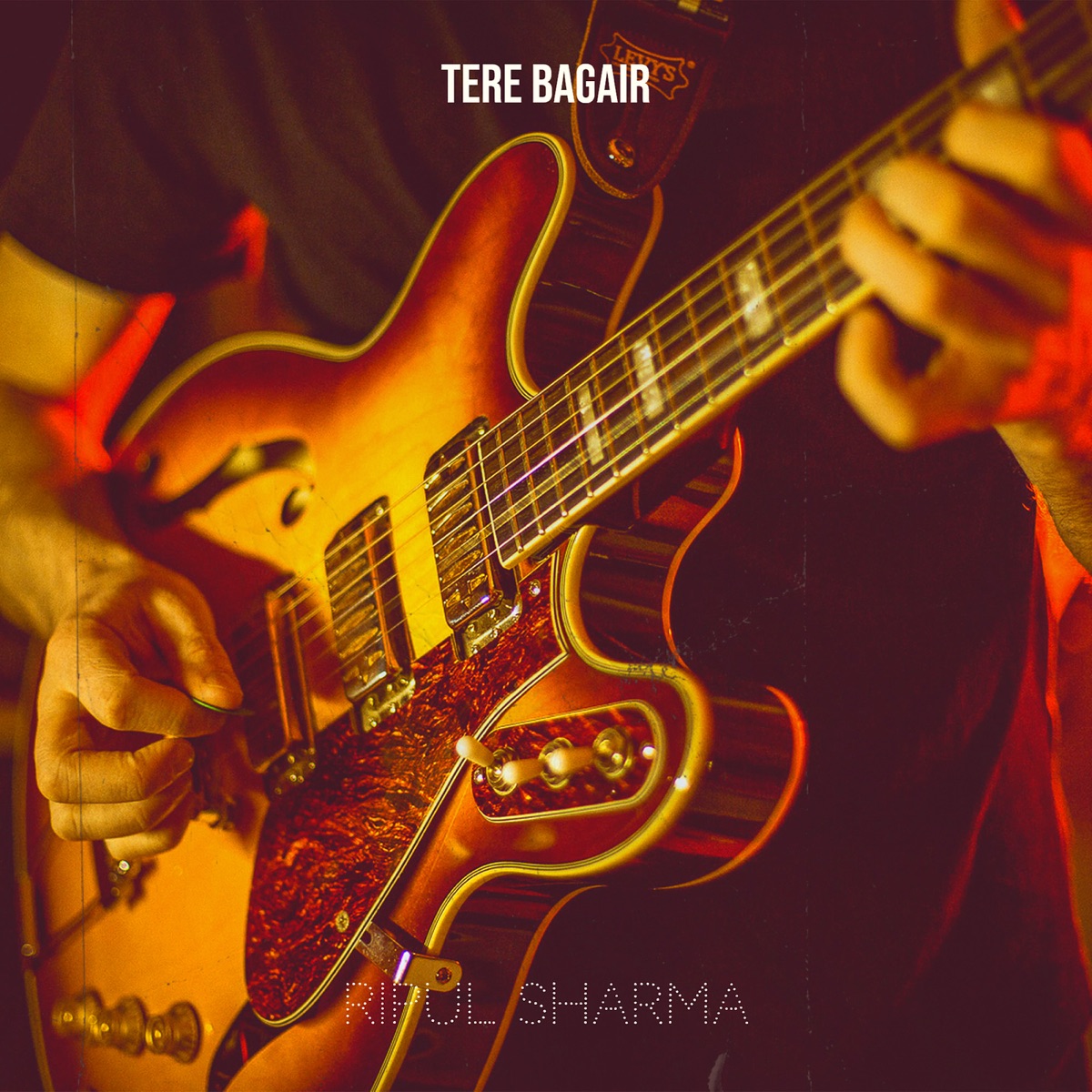 Tere Bagair - Single by Ripul Sharma album cover