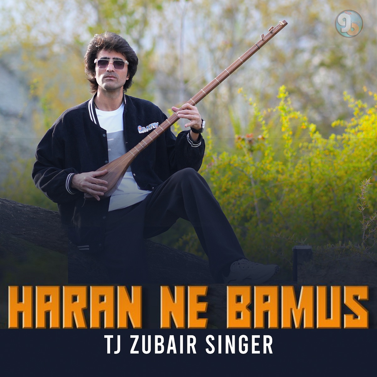 Haran Ne Bamus - Single by TJ Zubair Singer album cover