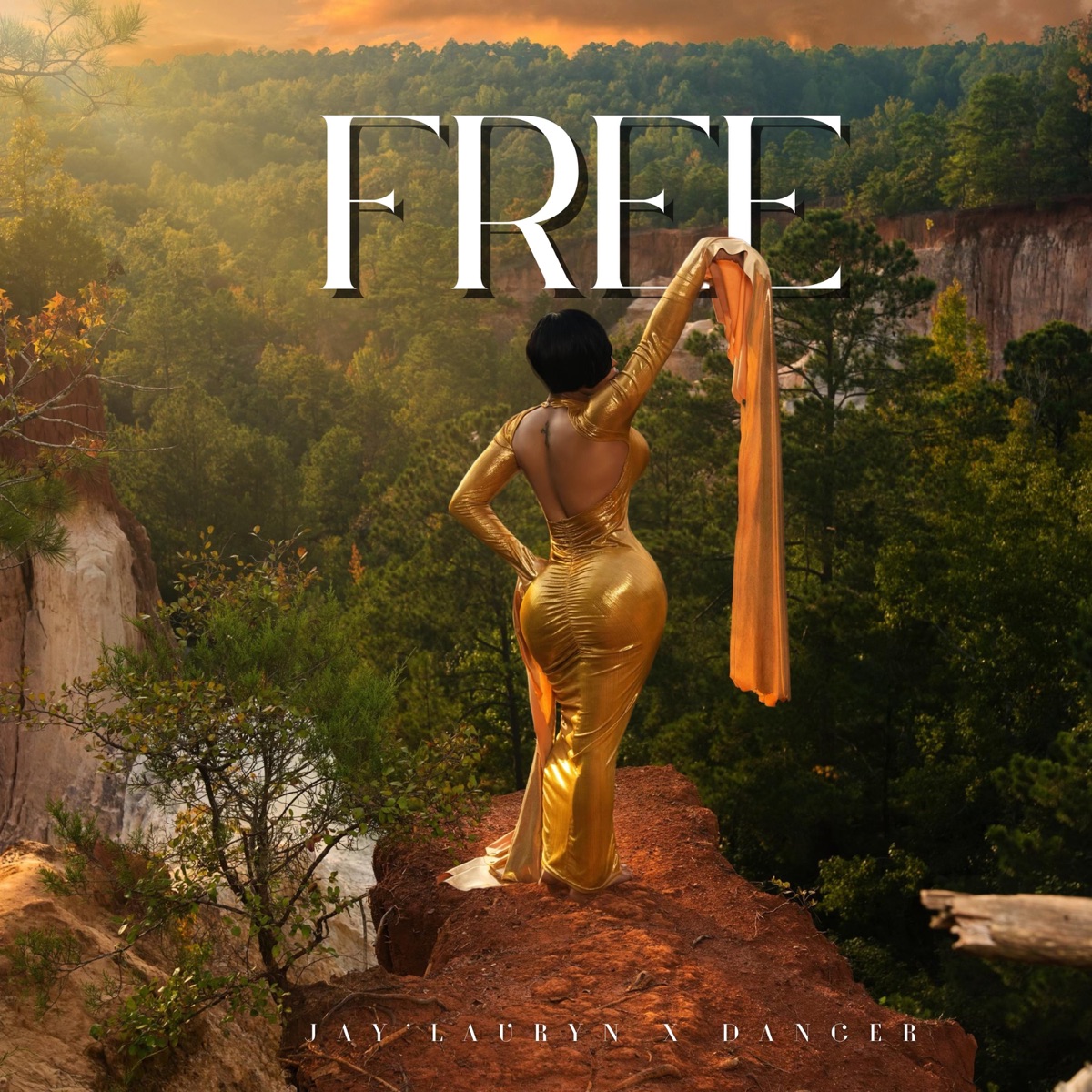 FREE(Vocals Only) (feat. Danger & Dj KidLax) - Single by Jay'Lauryn album cover
